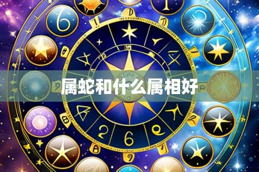属蛇和什么属相好