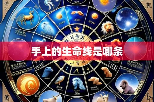 手上的生命线是哪条