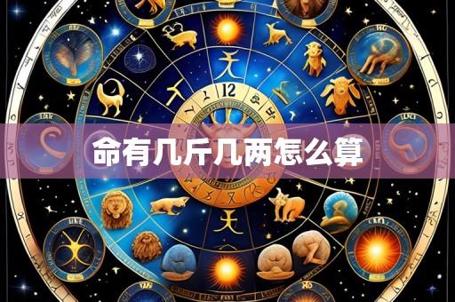 命有几斤几两怎么算