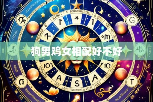 狗男鸡女相配好不好