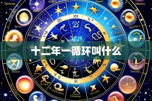 十二年一循环叫什么