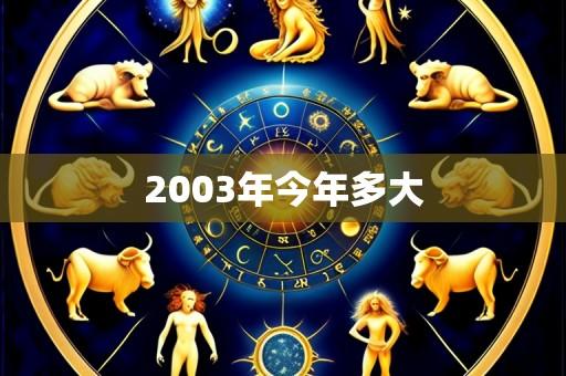 2003年今年多大