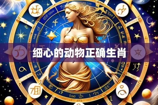 细心的动物正确生肖