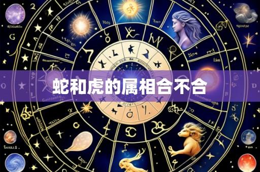 蛇和虎的属相合不合
