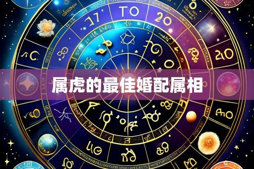 属虎的最佳婚配属相