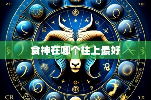 食神在哪个柱上最好