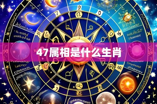 47属相是什么生肖