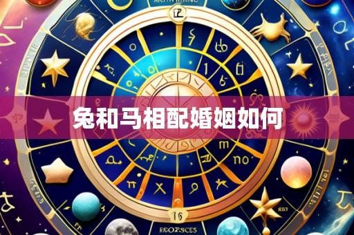 兔和马相配婚姻如何