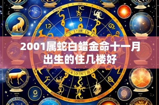 2001属蛇白蜡金命十一月出生的住几楼好