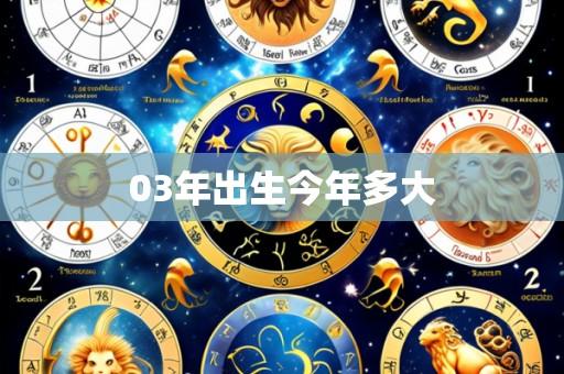 03年出生今年多大
