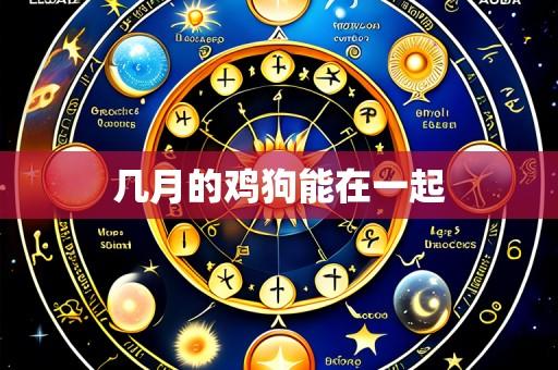 几月的鸡狗能在一起
