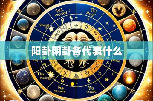 阳卦阴卦各代表什么