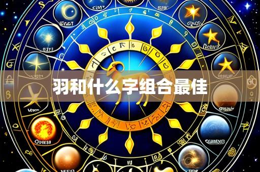 羽和什么字组合最佳