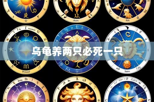 乌龟养两只必死一只