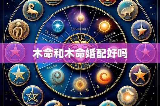 木命和木命婚配好吗