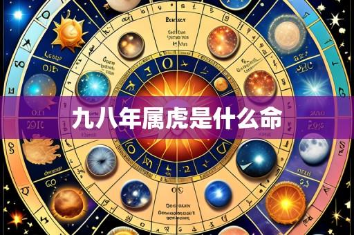 九八年属虎是什么命