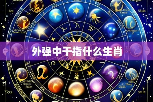 外强中干指什么生肖