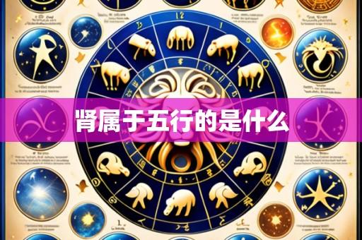 肾属于五行的是什么