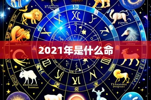 2021年是什么命