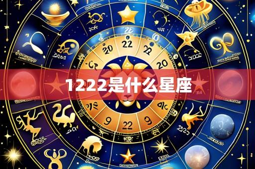 1222是什么星座