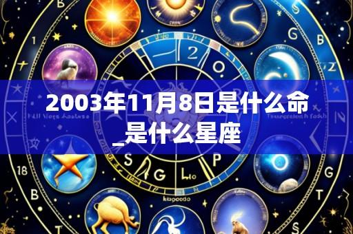2003年11月8日是什么命_是什么星座