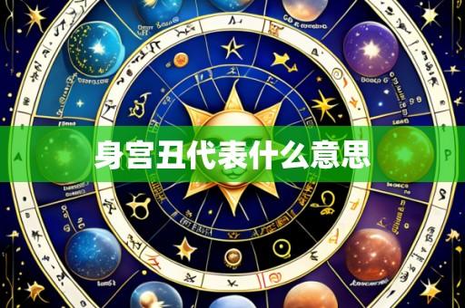 身宫丑代表什么意思