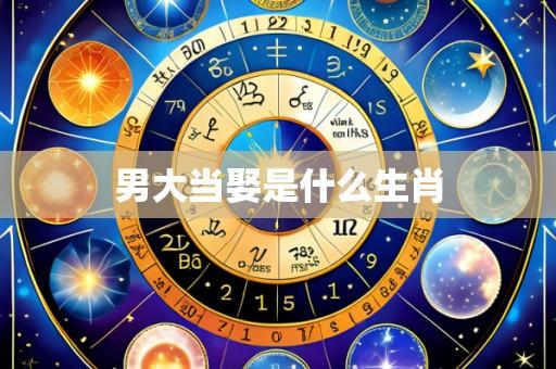 男大当娶是什么生肖