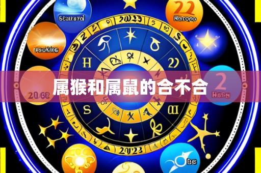 属猴和属鼠的合不合