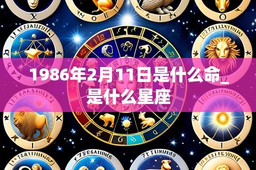 1986年2月11日是什么命_是什么星座