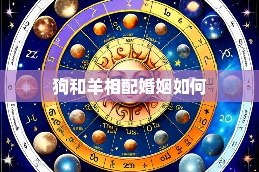 狗和羊相配婚姻如何