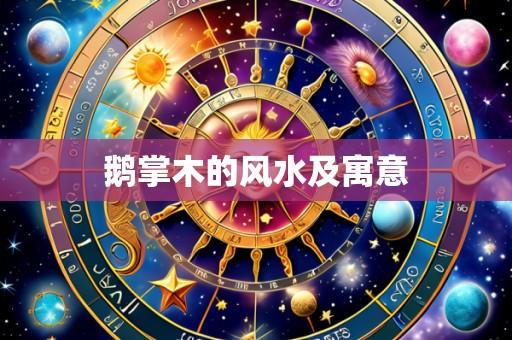 鹅掌木的风水及寓意