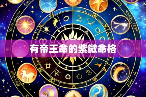 有帝王命的紫微命格