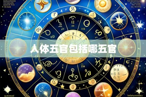 人体五官包括哪五官