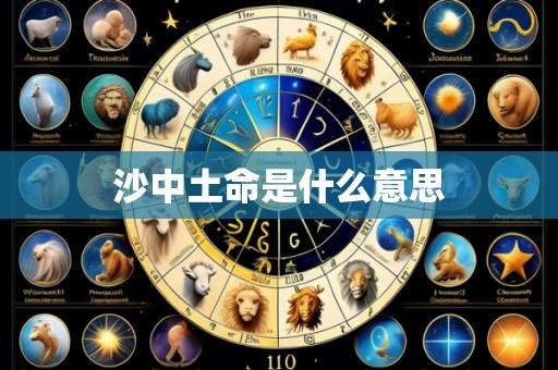 沙中土命是什么意思