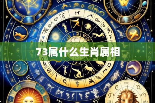 73属什么生肖属相