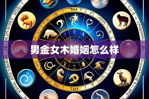 男金女木婚姻怎么样