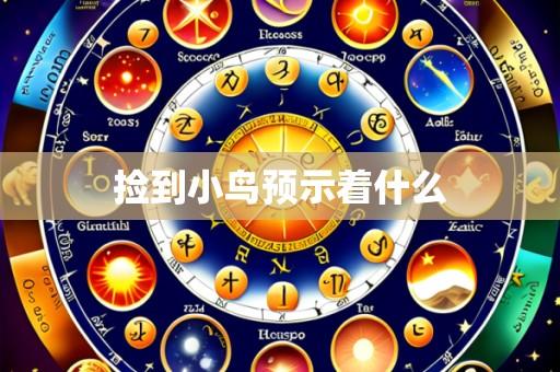 捡到小鸟预示着什么