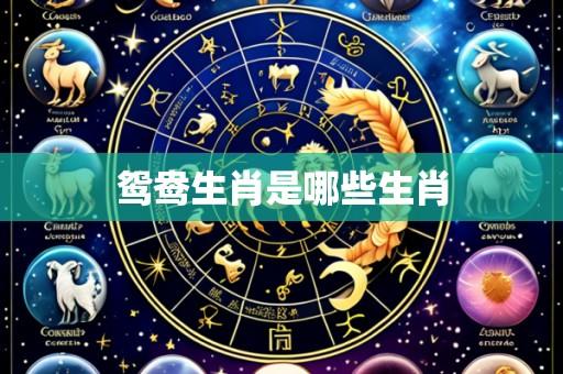 鸳鸯生肖是哪些生肖