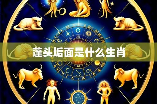 蓬头垢面是什么生肖