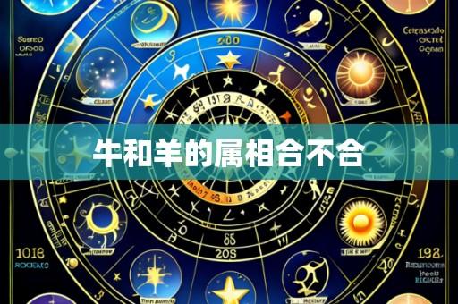 牛和羊的属相合不合