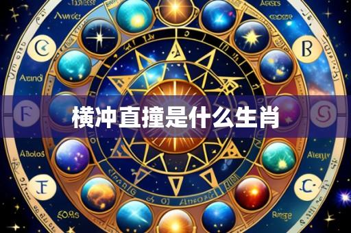 横冲直撞是什么生肖