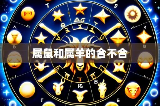 属鼠和属羊的合不合