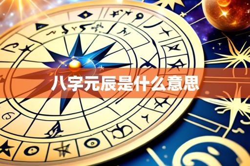 八字元辰是什么意思