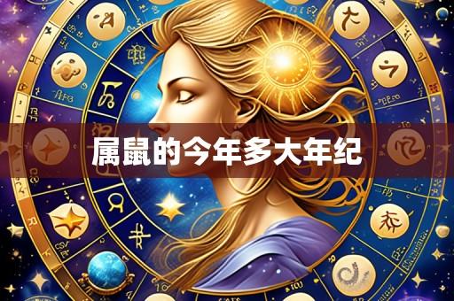 属鼠的今年多大年纪