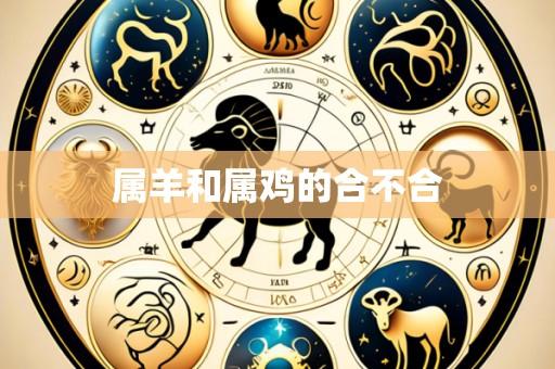 属羊和属鸡的合不合