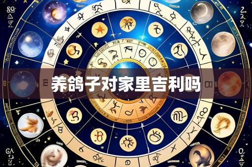 养鸽子对家里吉利吗