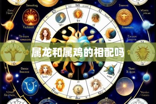 属龙和属鸡的相配吗