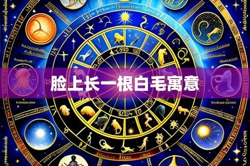 脸上长一根白毛寓意