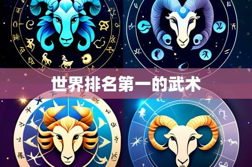 世界排名第一的武术