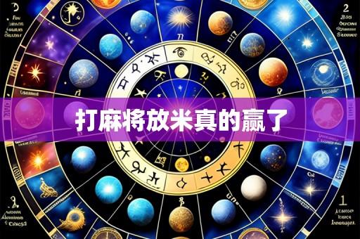 打麻将放米真的赢了